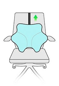 seat lumbar cushion
